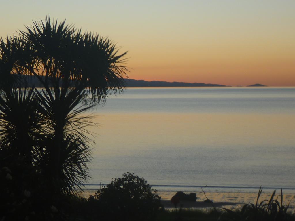 Pohutukawa Coast Bnb Te Puru Exteriör bild